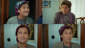 Biografie Hikmet Kormukcu