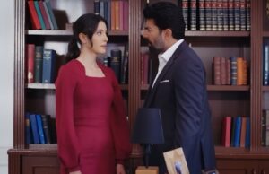 Capcana iubirii episoadele 301 și 302, rezumat