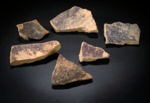 Fabrica antică de pe coasta Israelului producea vopsea purpurie cu o tehnologie secretă!