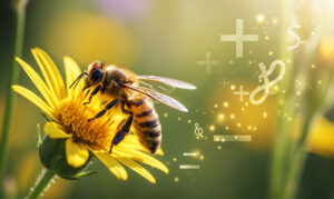 Știai că albinele pot rezolva probleme simple de matematică?