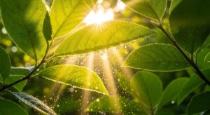 Lucruri incredibile pe care le ignorăm zilnic